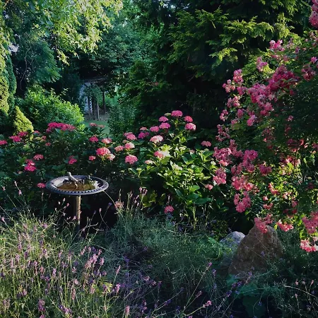 Oda ve Kahvaltı Zu Kuerenberg 4*