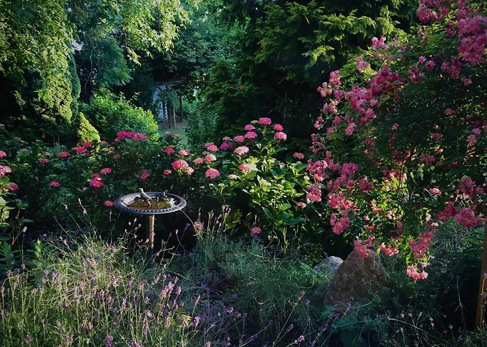 B&B Zu Kuerenberg 4*